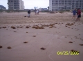 spi02up-050425.JPG
